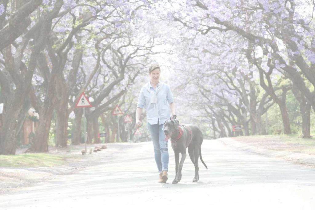 NF Life Coaching Pretoria